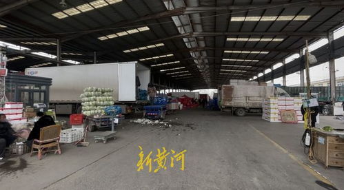 山東匡山農(nóng)產(chǎn)品交易市場解封 記者探訪 市場防疫保供兩不誤 蔬菜價(jià)格穩(wěn)中有降